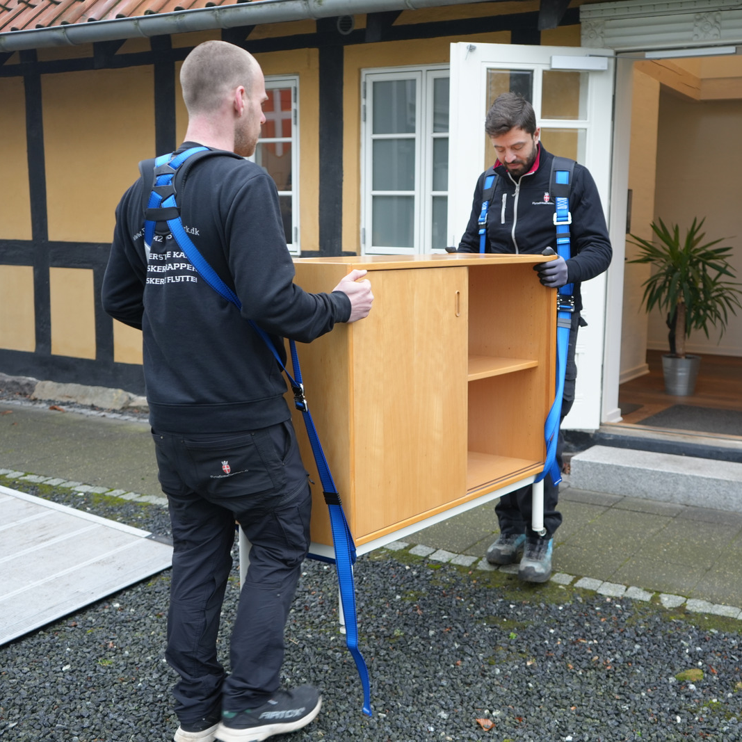 Movotti Lifting Straps With Safety Harness For Two Movers