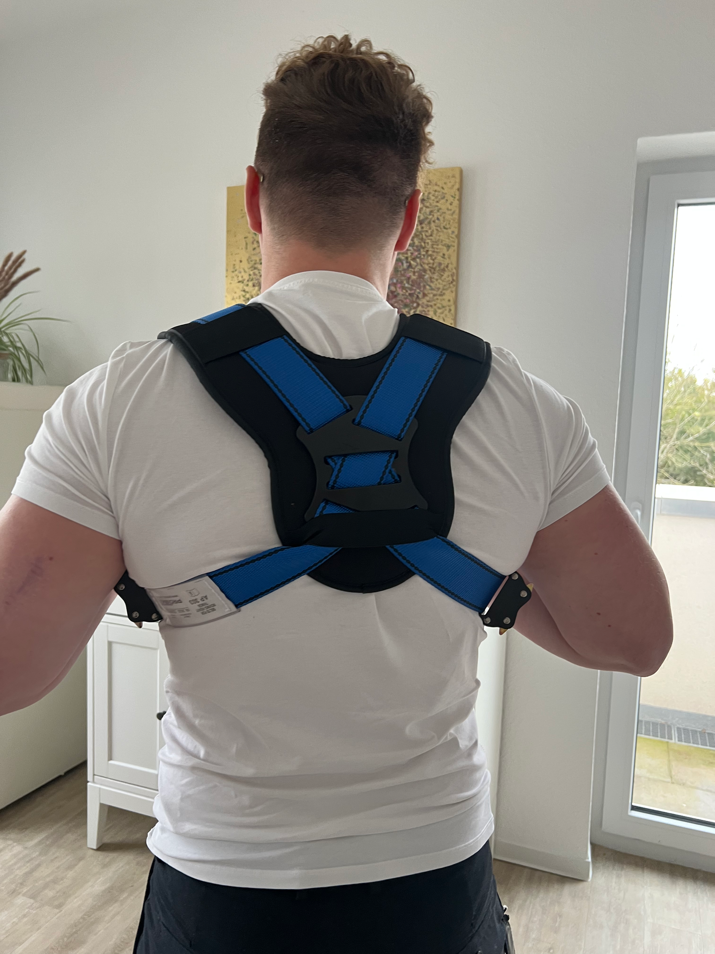 Movotti Lifting Straps With Safety Harness For Two Movers
